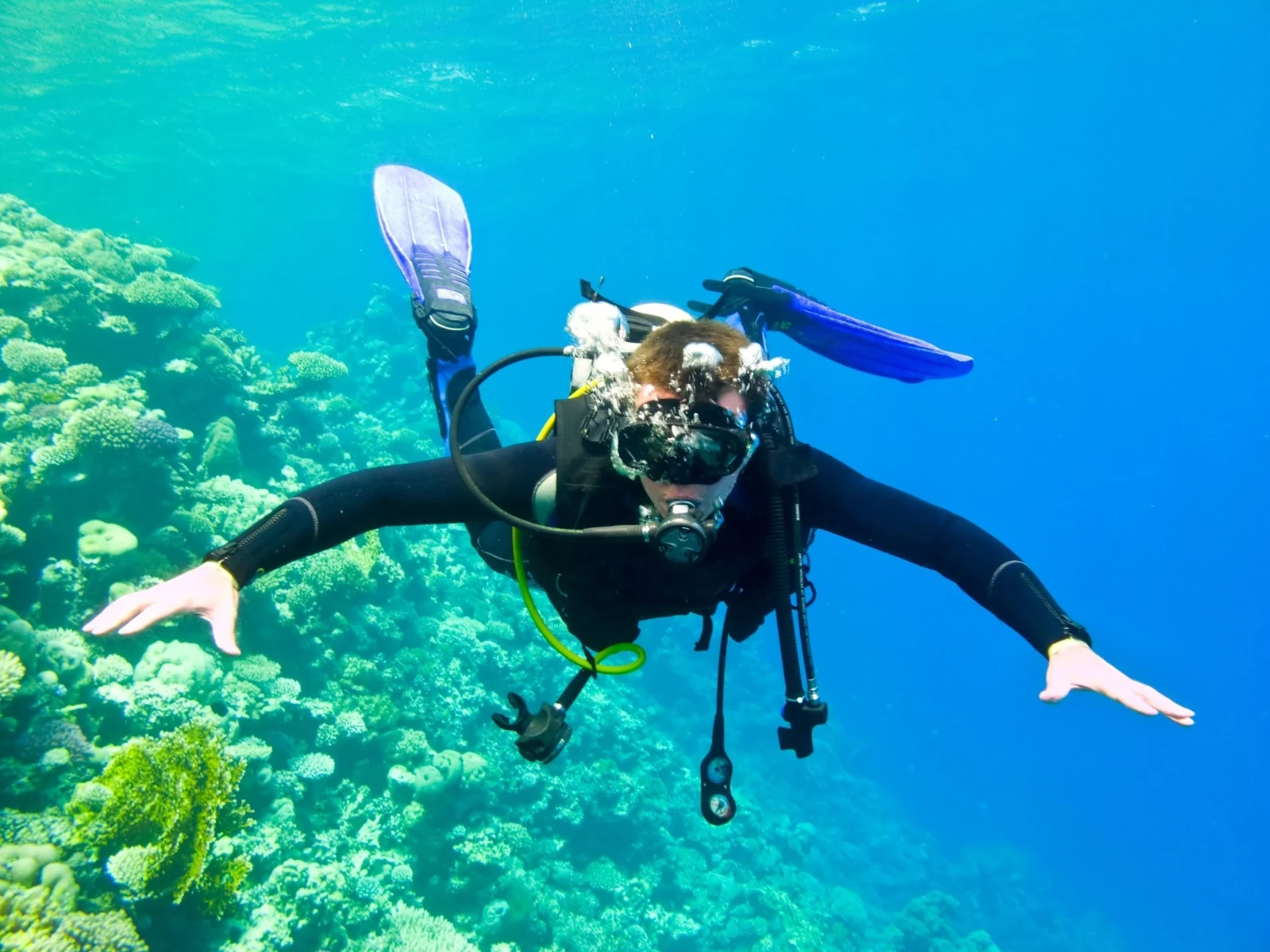 Diving in Ligurian waters